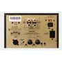 Amplificateur mono Advance Paris BX2 