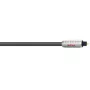 Câble digital optique Wireworld Nova Toslink 