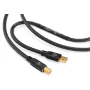 Câble Digital USB Shunyata Research Gamma USB