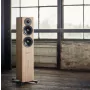 Enceinte colonne Dynaudio Evoke 30 