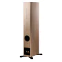 Enceinte colonne Dynaudio Evoke 30 