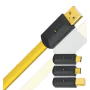 Câble USB Wireworld Chroma 8 USB2 C-B 