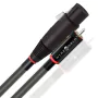 Câble RCA Wireworld Equinox 10 RCA