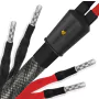 Câble d'enceintes Wireworld Silver Eclipse 10 Haut-Parleurs Biwire