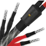 Câble d'enceintes Wireworld Platinum Eclipse 10 Haut-Parleurs Biwire