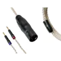 Enceintes connectées KEF LSX 2 LT