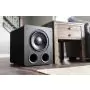 Caisson de basses SVS PB2000 PRO