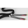 Câble pour enceintes Tellurium Q  Black Diamond Speaker Cable