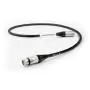 Câble digital Tellurium Q Black Waveform II Digital XLR