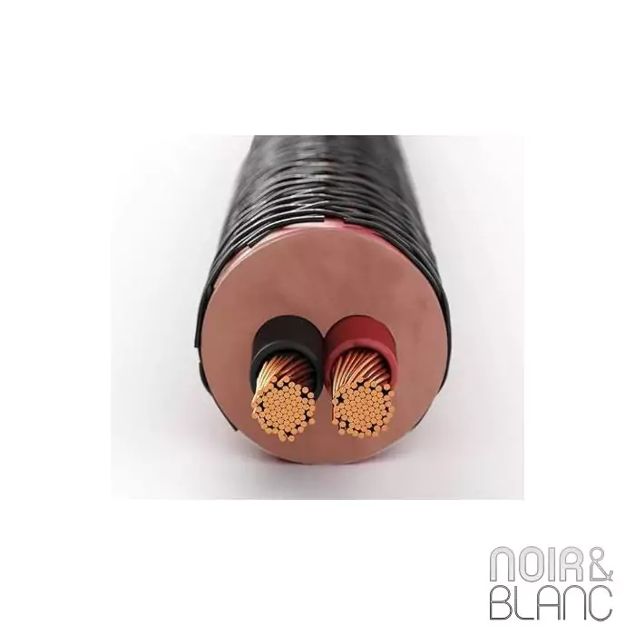 Câble pour enceintes Dali SC-RM230C