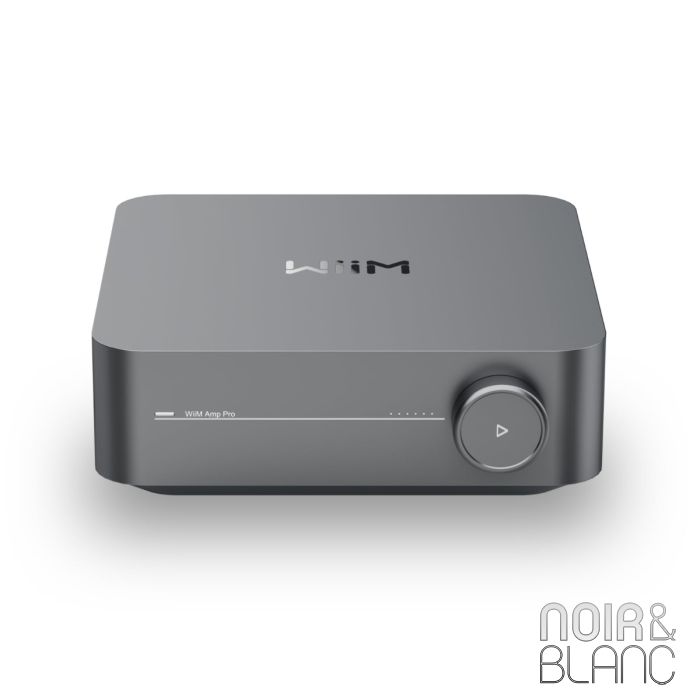 Wiim Amp Pro main product photo