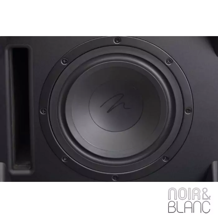 Caisson de basses Martin Logan Dynamo 400 