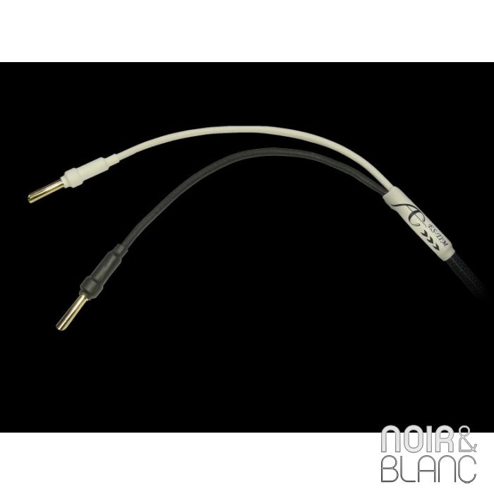 Absolue Creations ES-TIM HP main product photo