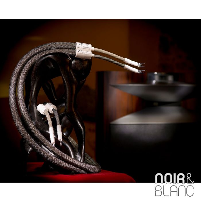 Absolue Creations TIM-Reference HP main product photo