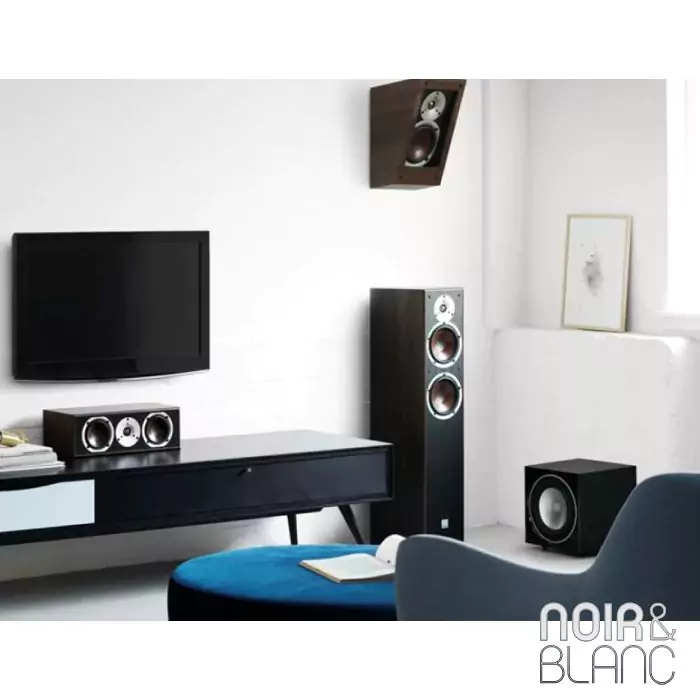 Enceinte Dali Alteco C-1