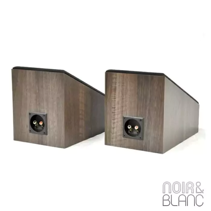 Enceinte Dali Alteco C-1