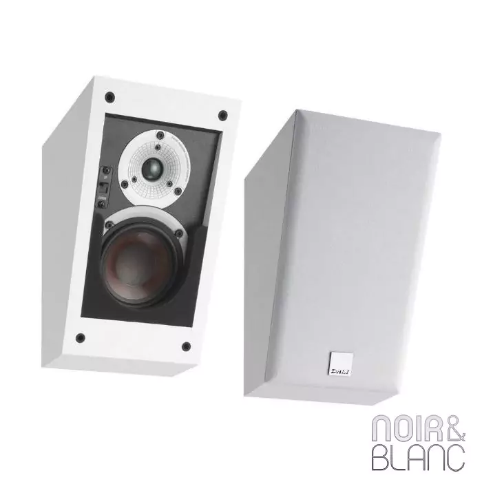 Enceinte Dali Alteco C-1