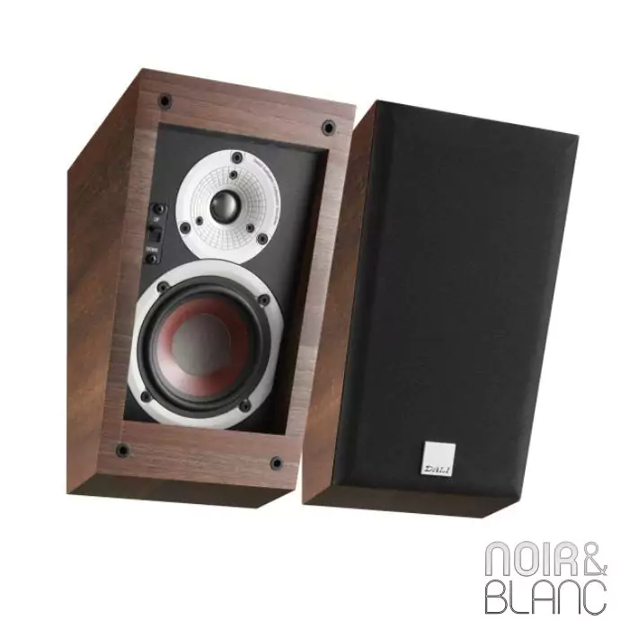 Enceinte Dali Alteco C-1