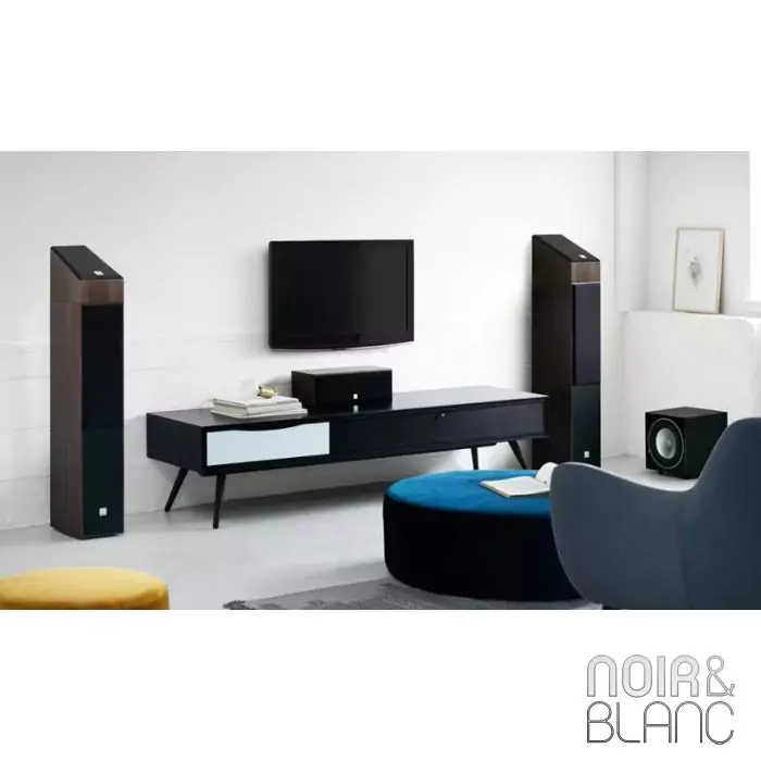 Enceinte Dali Alteco C-1