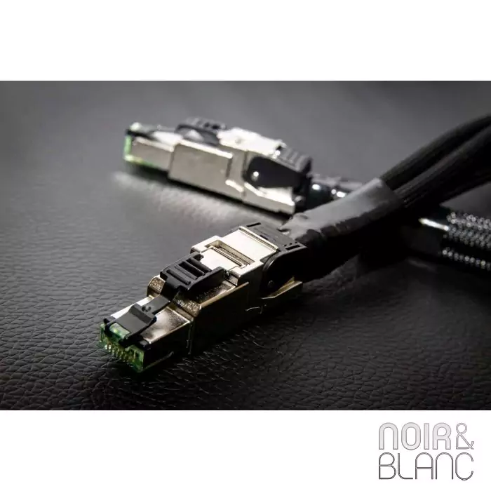 LANケーブル LAN-QUADRANT-TripleC LAN Cable | Acoustic Revive