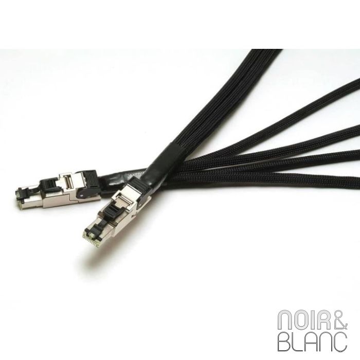 Acoustic Revive LAN-QUADRANT Triple C-1.00m main product photo