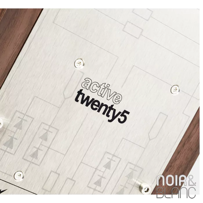 Enceintes actives PMC Active Twenty5 23i