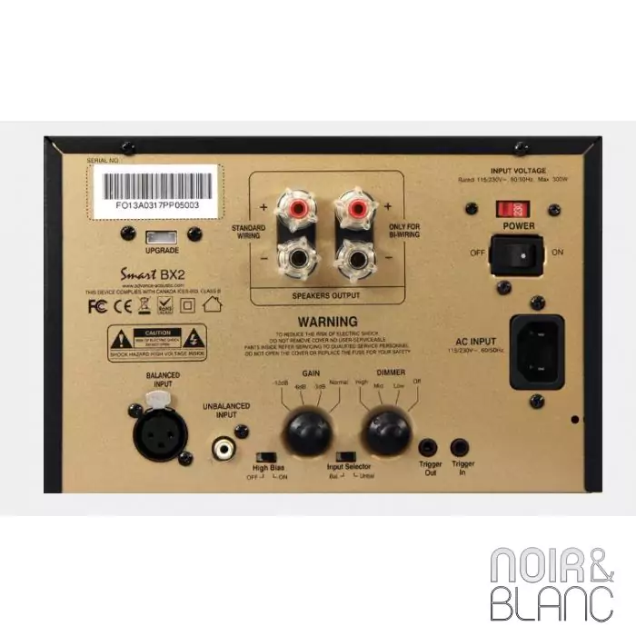 Amplificateur mono Advance Paris BX2 