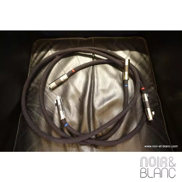 Aktyna SCM Cortex Master Reference XLR