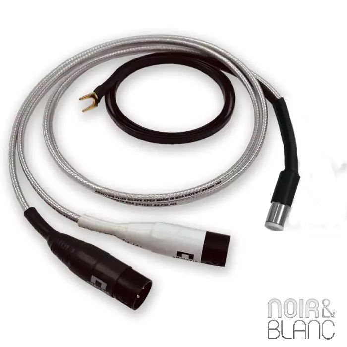 Analysis Plus Silver Apex phono