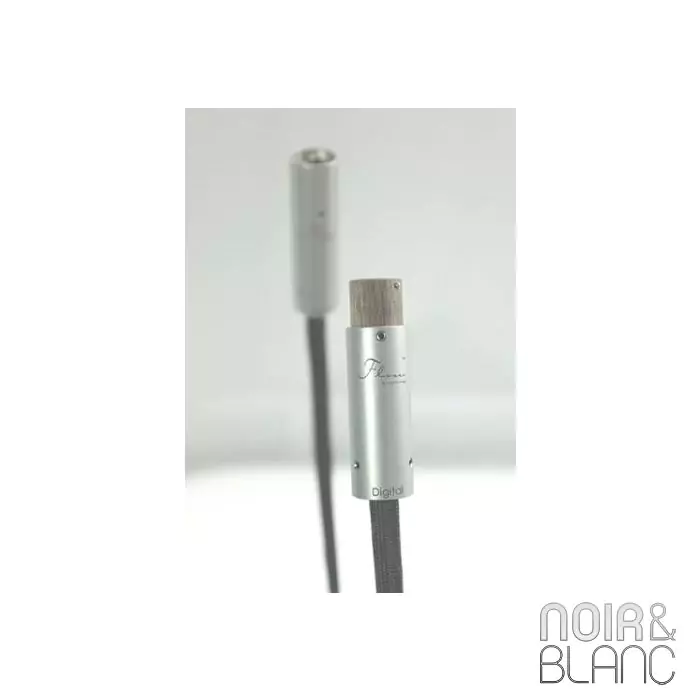 Argento Audio Flow Digital RCA or XLR