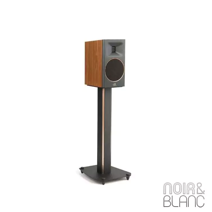 Enceinte bibliothèque Martin Logan Motion B10