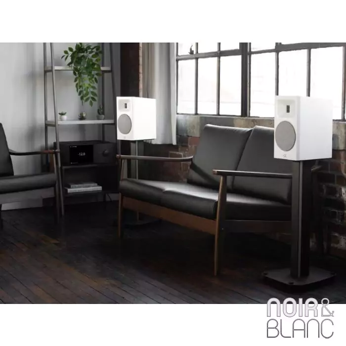 Enceinte bibliothèque Martin Logan Motion B10