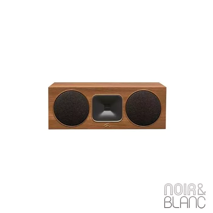 Enceinte centrale Martin Logan Motion Foundation C1