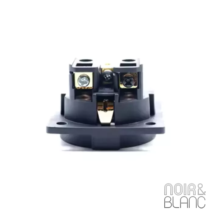 Prise murale Furutech FI-E30 (G) / (R) 