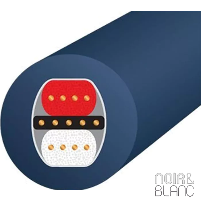 Câble digital Wireworld Luna 8 XLR Digital