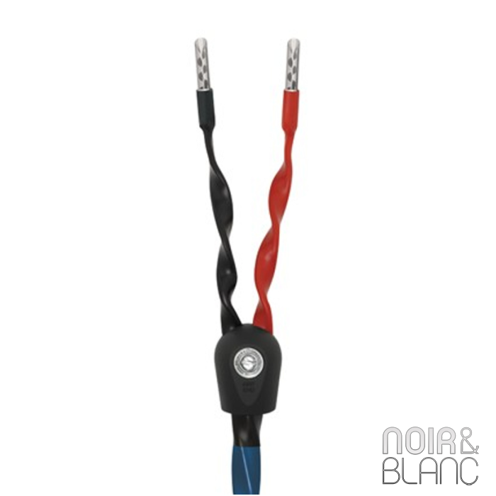 Wireworld Oasis 8 Haut-parleurs-2.50m-Banane main product photo