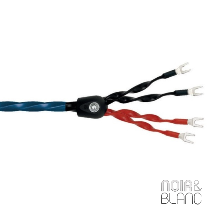 Wireworld Oasis 8 Haut-parleurs Biwire-2.00m-Fourche main product photo