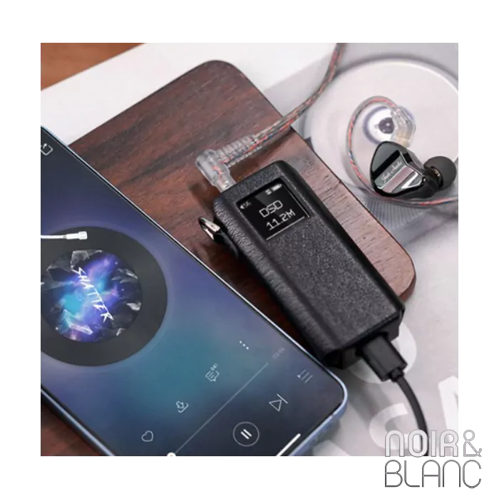 Etui de protection Fiio SK-BTR15 