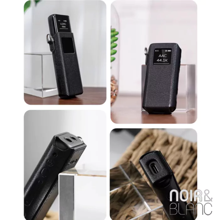 Etui de protection Fiio SK-BTR15 