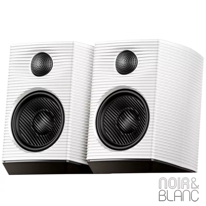 Enceintes Bluetooth Fiio SP3 BT