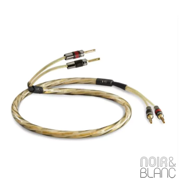 自作 QED REFERENCE GOLDEN ANNIVERSARY XT GOLDEN ANNIVERSARY XT FROM QED - The Audiophile Man