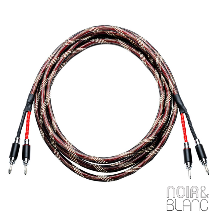 Pro-Ject Connect it LS DS main product photo