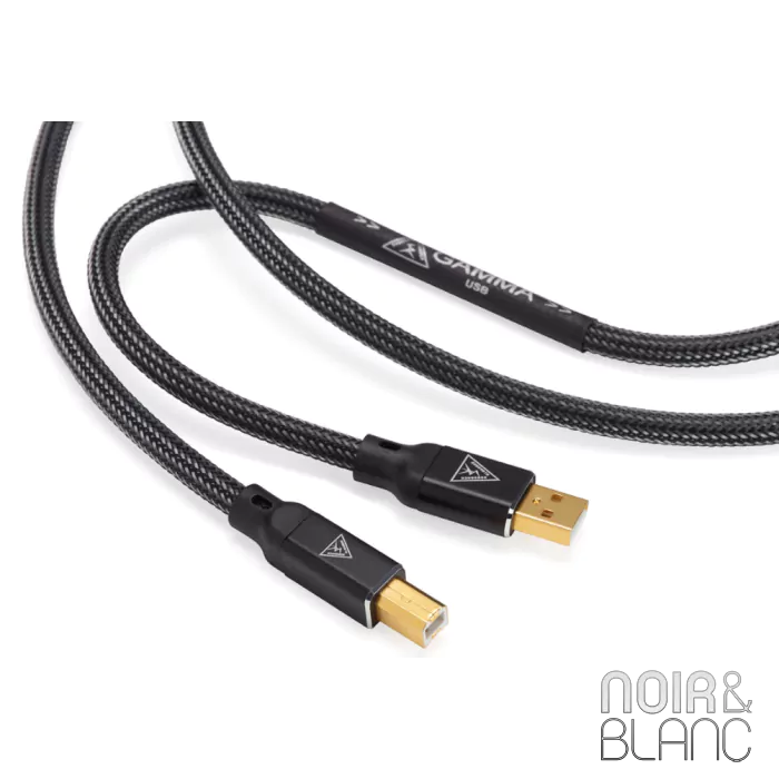 Câble Digital USB Shunyata Research Gamma USB