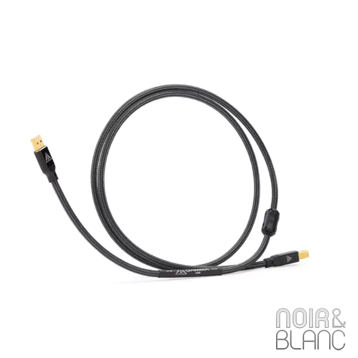 Câble Digital USB Shunyata Research Gamma USB