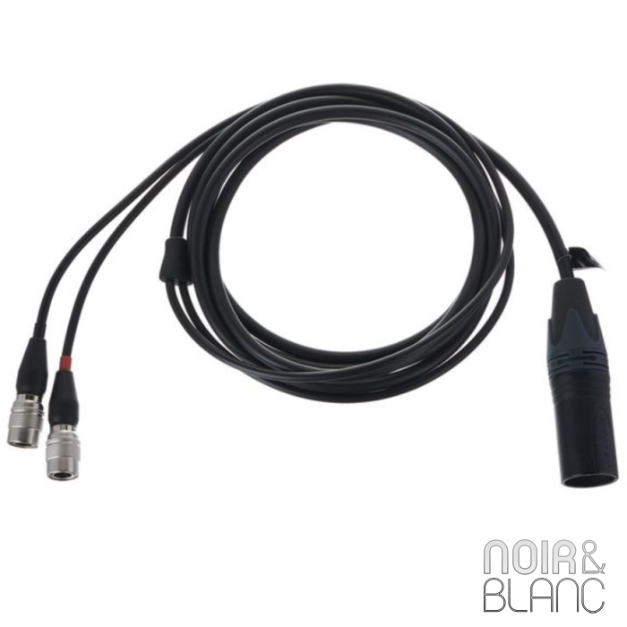 Dan Clark Audio ÆON 2 Closed Noire-1,8m 4-pin XLR DUMMER Cable main product photo