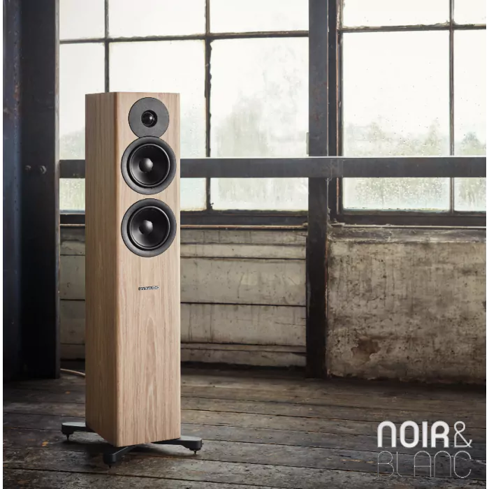 Enceinte colonne Dynaudio Evoke 30 