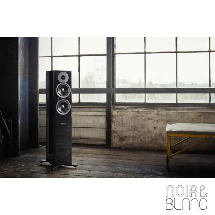 Enceinte colonne Dynaudio Evoke 30 