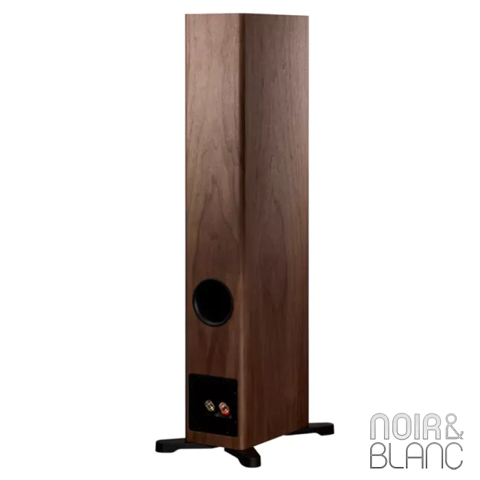 Enceinte colonne Dynaudio Evoke 30 