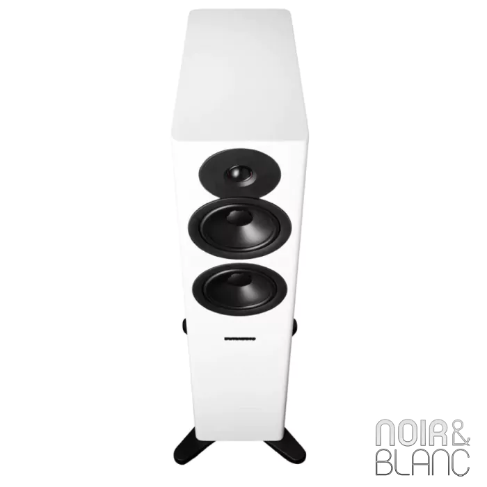 Enceinte colonne Dynaudio Evoke 30 