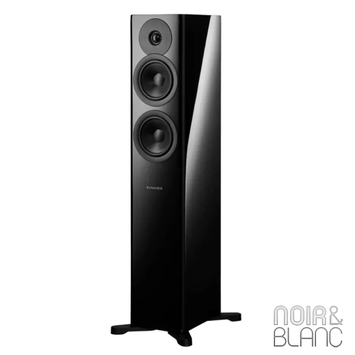 Enceinte colonne Dynaudio Evoke 30 